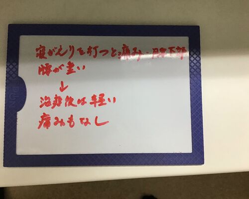 山本恵美世