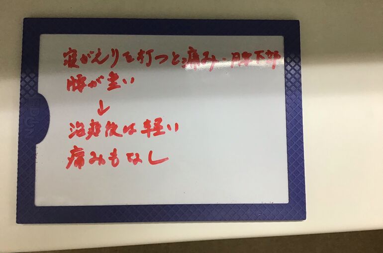 山本恵美世